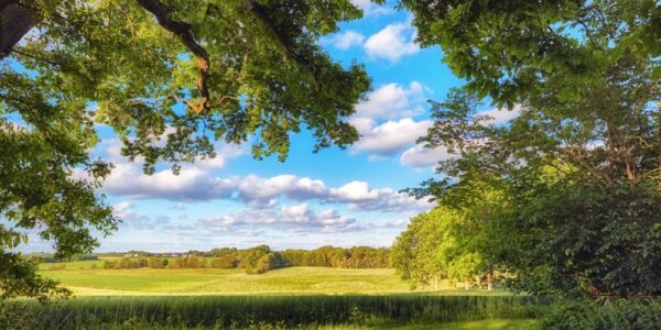 Kino dokumentalne a ekologia – jak filmowcy mogą zwracać uwagę na ochronę środowiska? 2 nature